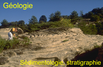 diastrata-gologie, sdimentologie, stratigraphie
